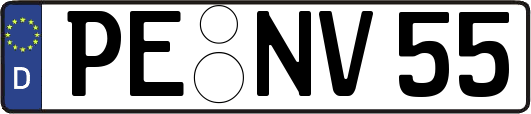 PE-NV55