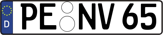 PE-NV65
