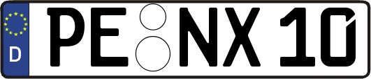PE-NX10