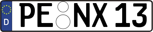 PE-NX13