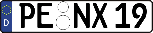 PE-NX19