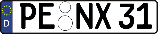 PE-NX31