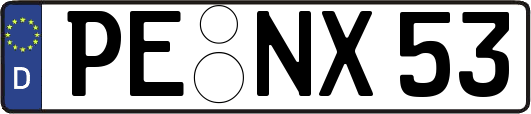 PE-NX53