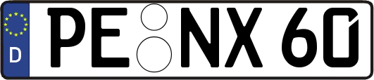 PE-NX60