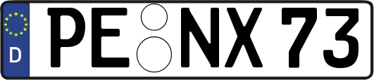 PE-NX73