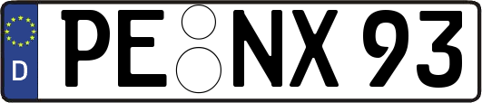 PE-NX93