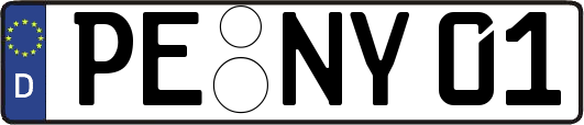 PE-NY01