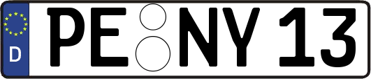 PE-NY13
