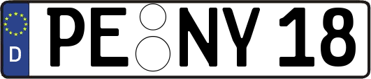 PE-NY18