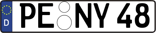 PE-NY48