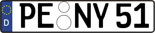 PE-NY51