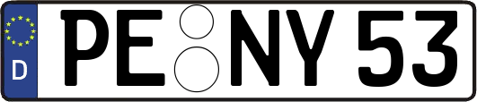 PE-NY53
