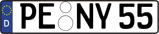 PE-NY55
