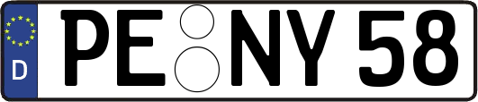 PE-NY58