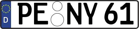 PE-NY61