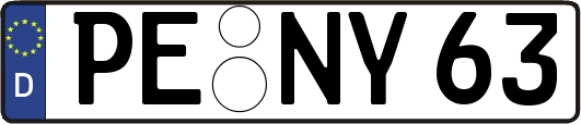 PE-NY63
