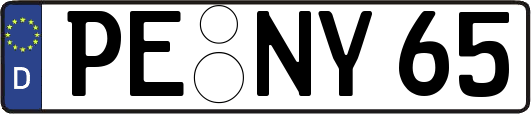 PE-NY65