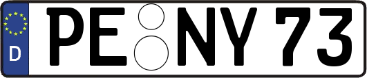 PE-NY73
