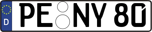 PE-NY80
