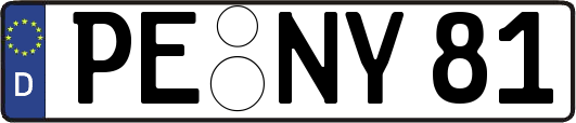 PE-NY81