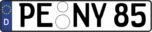 PE-NY85