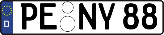 PE-NY88