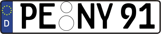 PE-NY91