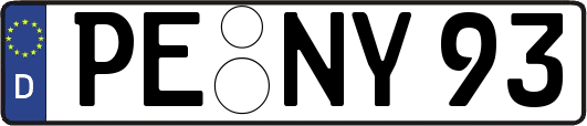PE-NY93