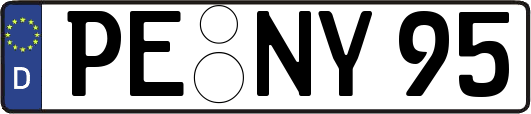 PE-NY95