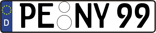 PE-NY99
