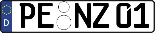 PE-NZ01