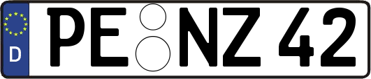 PE-NZ42
