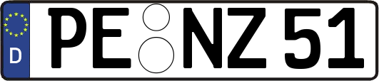 PE-NZ51