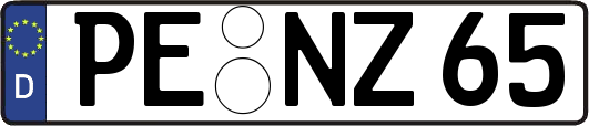 PE-NZ65