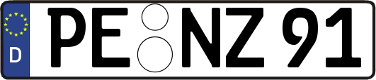 PE-NZ91