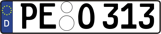 PE-O313