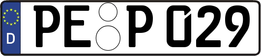 PE-P029