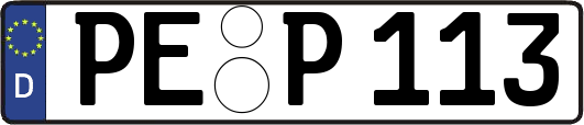 PE-P113