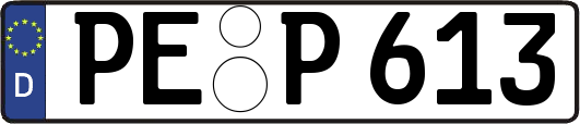 PE-P613