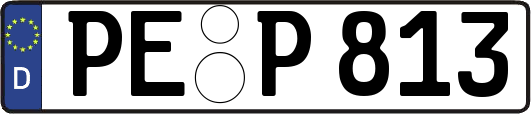 PE-P813