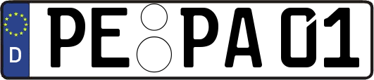 PE-PA01