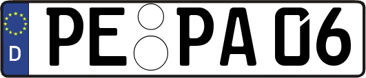 PE-PA06