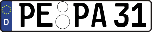 PE-PA31
