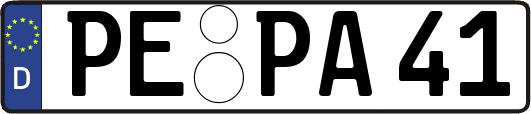 PE-PA41