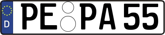 PE-PA55