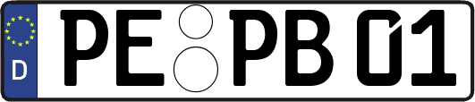PE-PB01