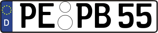 PE-PB55