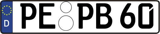 PE-PB60