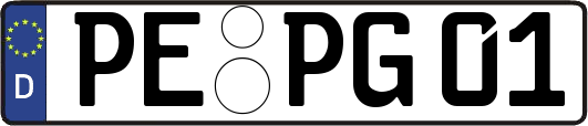 PE-PG01