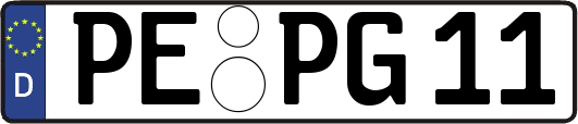 PE-PG11